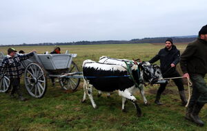 die beiden kleinen Damen vor dem großen Kastenwagen machen das gut