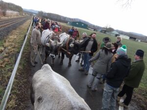 Warten auf die Nachzügler und den Zug