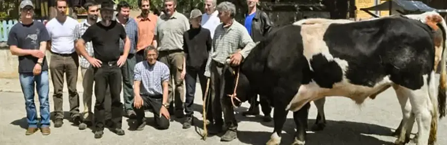 Treffen der Rindertreiber im Écomusée d'Alsace