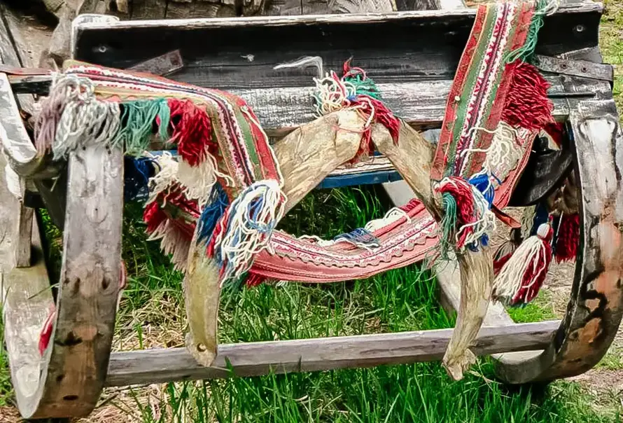 Ren Schlitten mit Geschitt, historisch, Rentier.