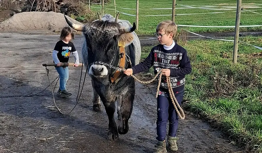 Zugrinderausbildung Schnuppertag