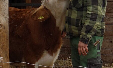 ...immer diese Körpersprache