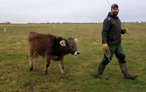 Vorstellung der Teilnehmer