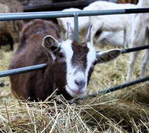 freundliche Begrüßung