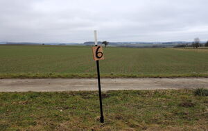 Hindernis 6: scheint so harmlos - bis der große Traktor kommt