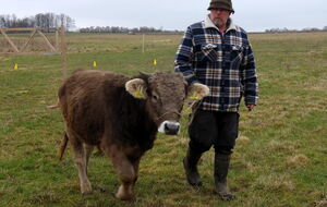 Neugierde auf die Zuschauer