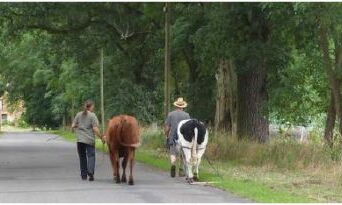 Zugrinderseminar in Pabstthum bei Neuruppin