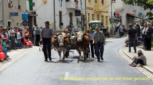 Peter Fröhlich aus Schönheide, Sachsen