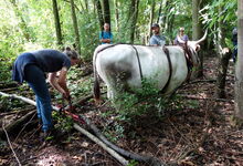 Steffi zeigt verschiedene Anschlagsmöglichkeiten