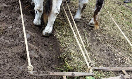 hier muß der Führer auf dem Auswurf laufen