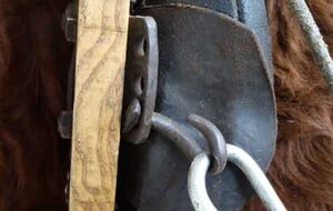 Detail am 3Polster-Kumt