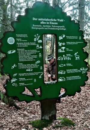 Naturpark und Hutewald Solling Naturpark und Hutewald Solling