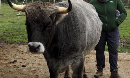 ...immer diese Körpersprache