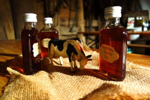 abends geselliges Beisammensein vor dem Heizlüfter in der Scheune