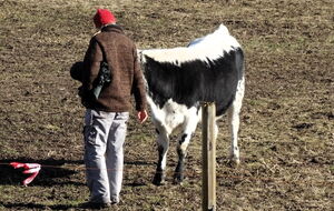 Sonntag morgen: Begrüßungsritual