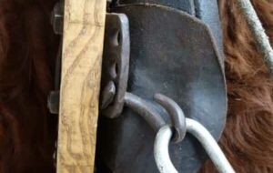 Detail am 3Polster-Kumt