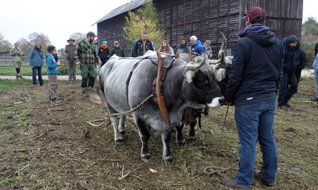immer noch Theorie vor Praxis