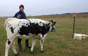 Neugierde auf den Parcours