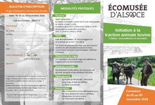 Initiation à la traction animale bowine. Tradition, renouvellement et innovation.