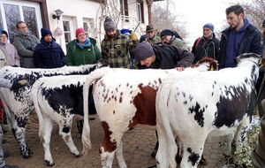 Vier Hintern und wo ist der Haarwirbel?