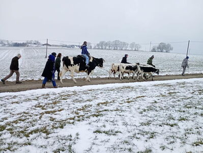 Sonntagsspaziergang