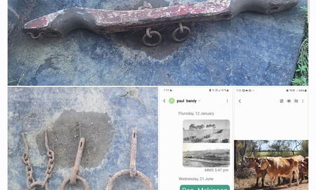 Joch mit variablem Zugpunkt in der Mitte und unterschiedliche Ringe für diesen Zweck