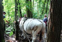 da passt der David grad noch durch