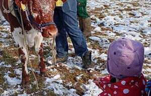 Nachwuchs interessiert am Gegenüber