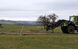 das wildeste Hindernis: großer Traktor kommt - und hupt!