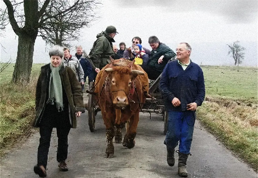 Bullockie-Treffens bei Matthias Höwer