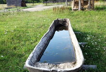 Einbaum, jetzt Wassertrog