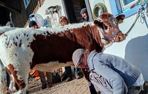 farblich passend die Socken