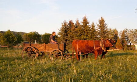Familie Böttcher und ihr Rotes Höhenvieh
