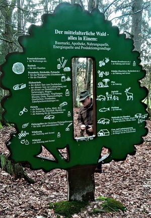 Naturpark und Hutewald Solling