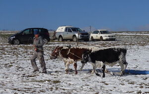 quasi freihändig und freiwillig