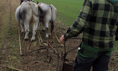 Eberhard Pflug mit Stelzrad - einfach aber gut
