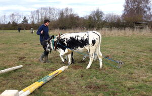 Aufräumarbeiten sind die besten Übungen