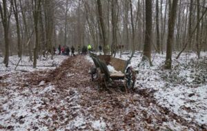 Demonstration von Waldarbeiten