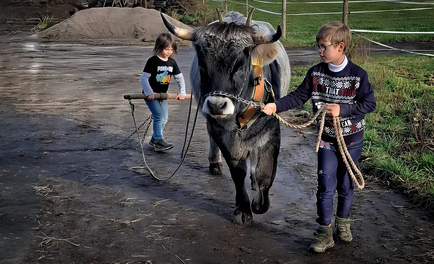 Zugrinderausbildung Herbst 2026