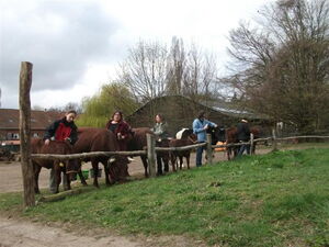 Workshop Domäne Dahlem 2011