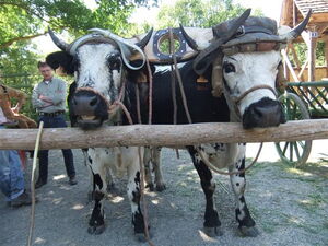 old and new, side by side