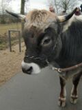 auch der Nachwuchs (namens Dodo) muß es lernen auch der Nachwuchs (namens Dodo) muß es lernen