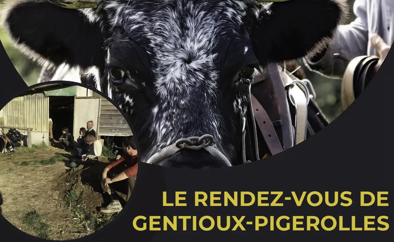 Gentioux-Pigerolles Zugrindertreffen Gentioux-Pigerolles Zugrindertreffen
