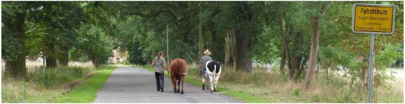 Zugrinderseminar in Pabstthum bei Neuruppin