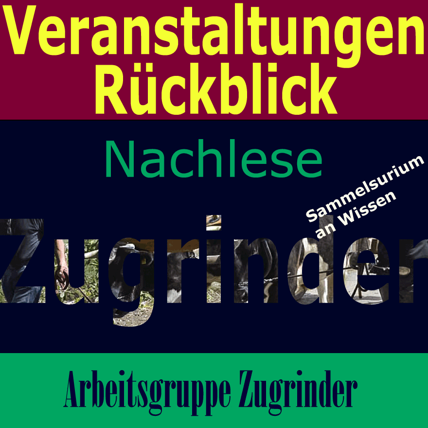 Zugrinder Veranstaltungen Zugochsen und Zugkühe.