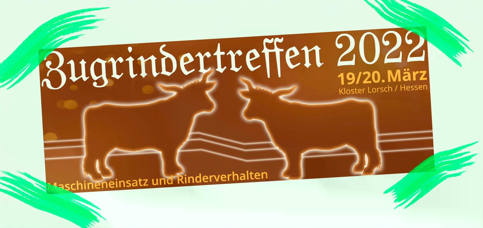 Zugrindertreffen im März 2022, Arbeitsgruppe Rinderanspannung. Zugrindertreffen im März 2022, Arbeitsgruppe Rinderanspannung.