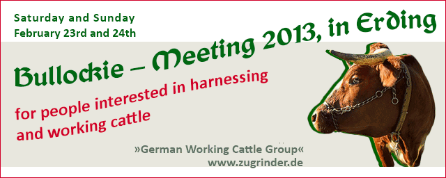 Bullockie Meeting Erding
